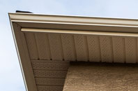 free Lower Thurlton fascia quotes