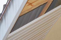 rated Lower Thurlton soffit repair companies